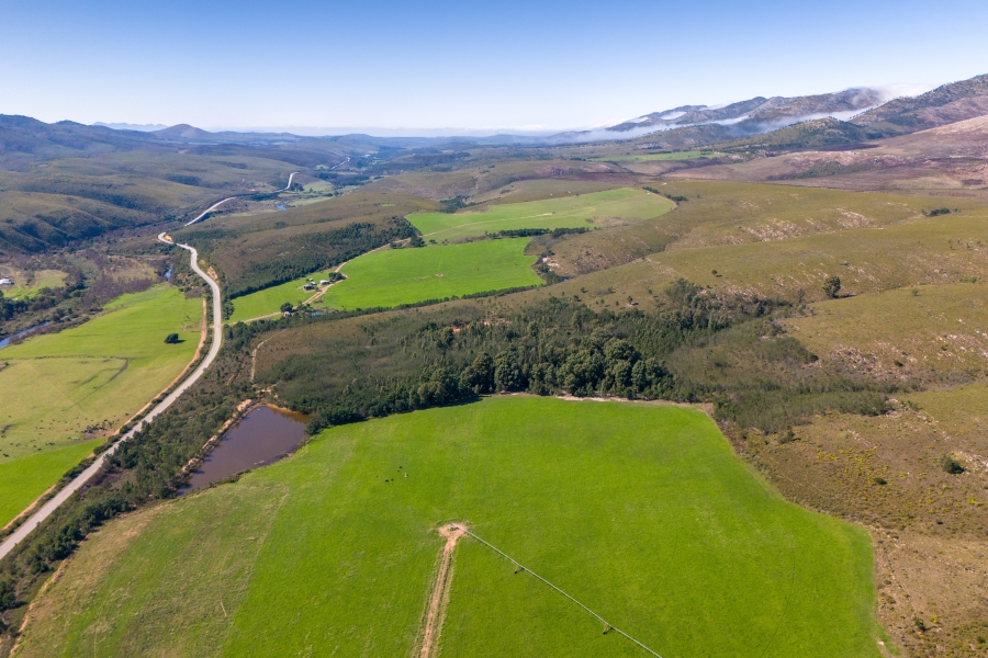 0 Bedroom Property for Sale in Kareedouw Eastern Cape